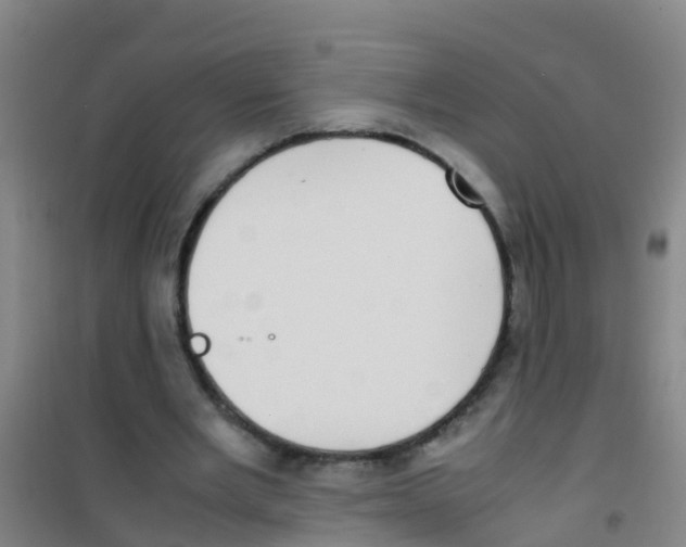 X0000100420485200807032105