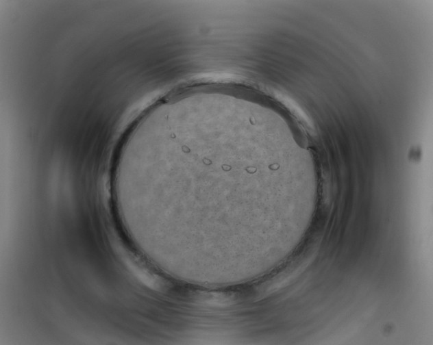 X0000100420486200807032105