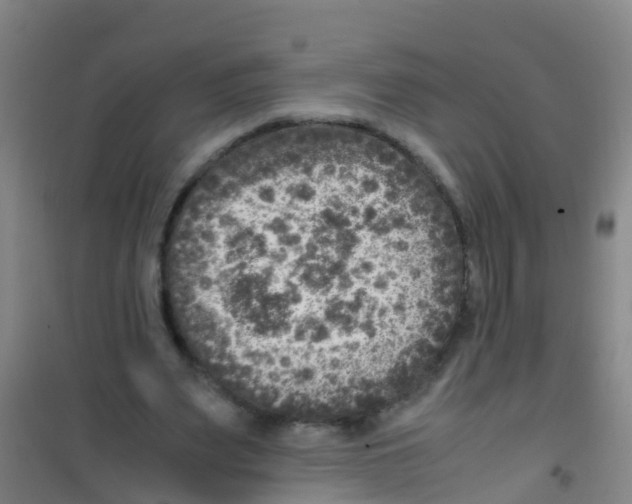 X0000100420487200807032105