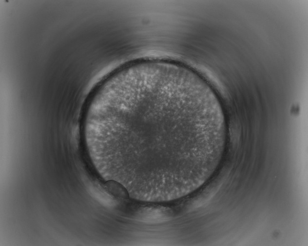 X0000100420488200807032105