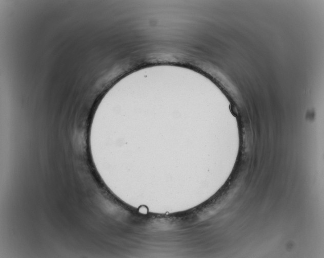 X0000100420489200807032105