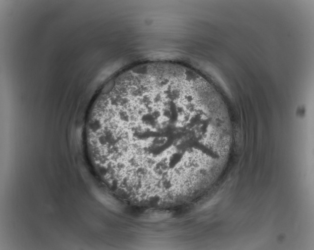 X0000100420491200807032105