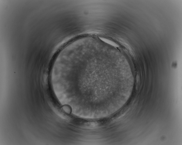 X0000100420492200807032105