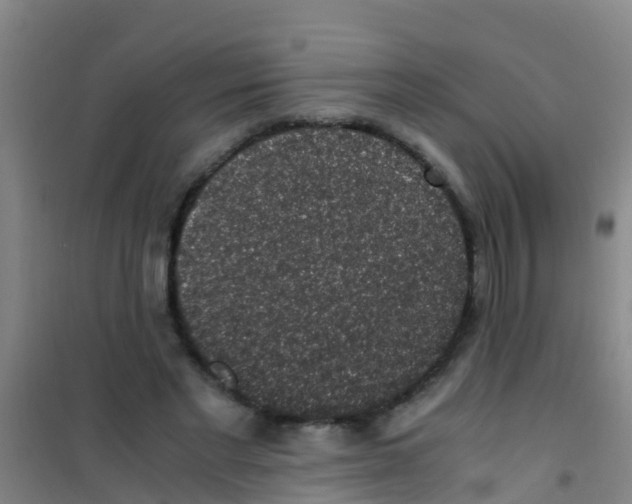 X0000100420493200807032105