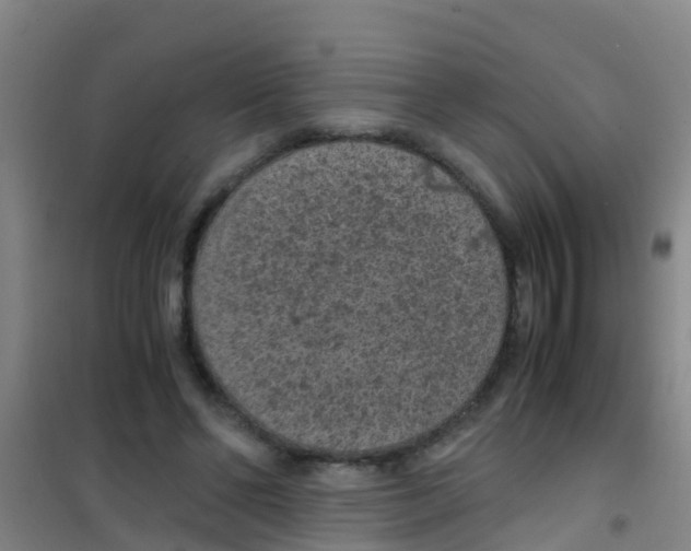 X0000100420494200807032104