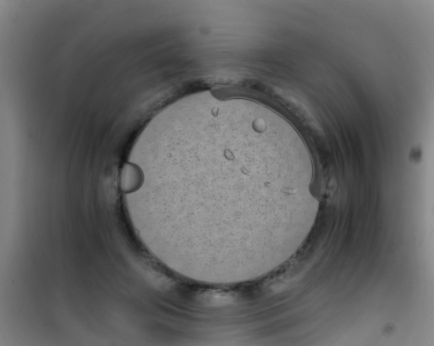 X0000100420498200807032104