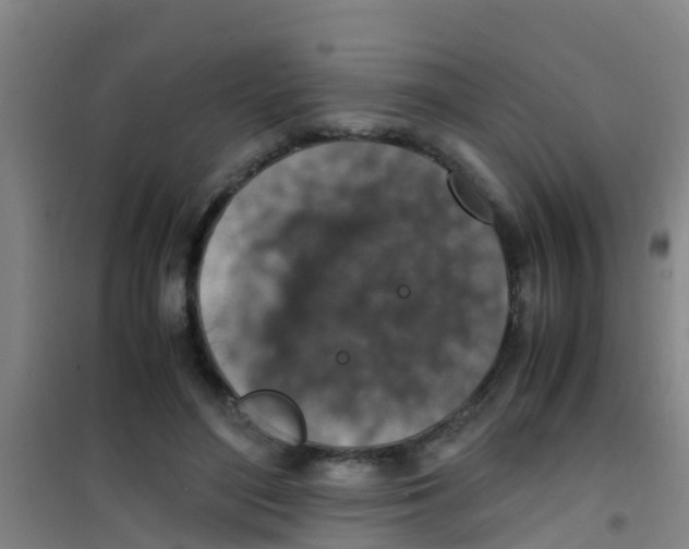 X0000100420500200807032104