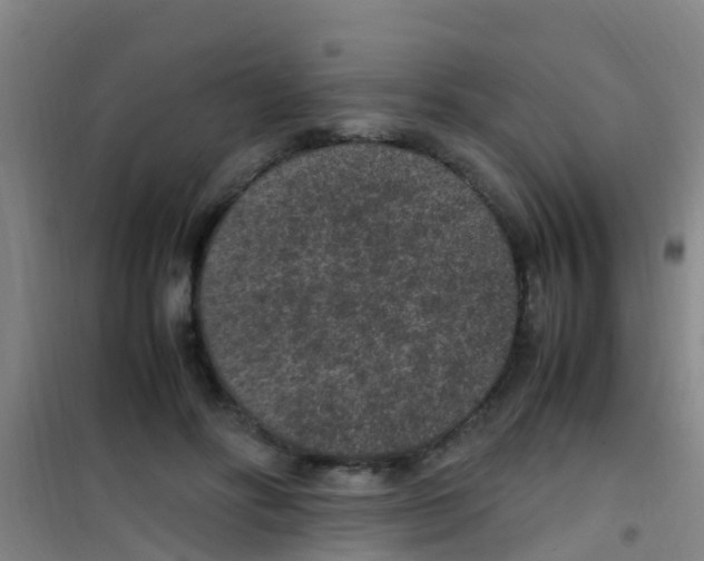 X0000100420502200807032104