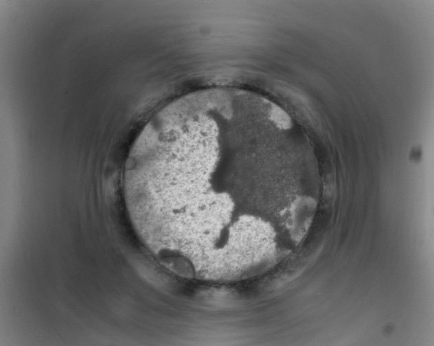 X0000100420503200807032104