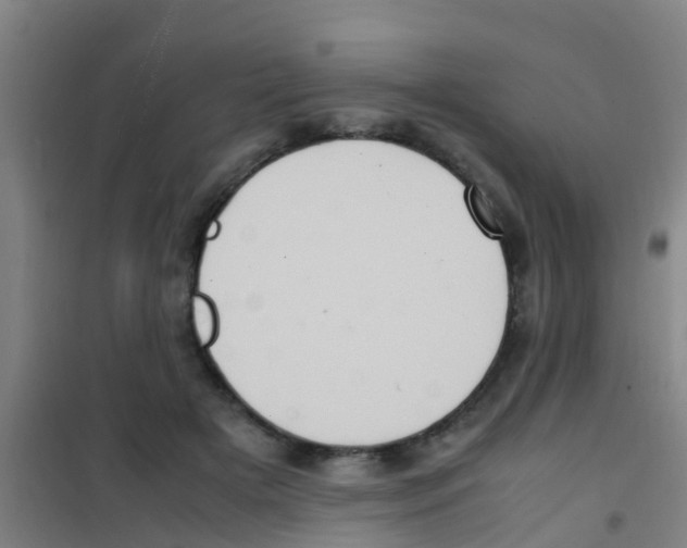 X0000100420505200807032104