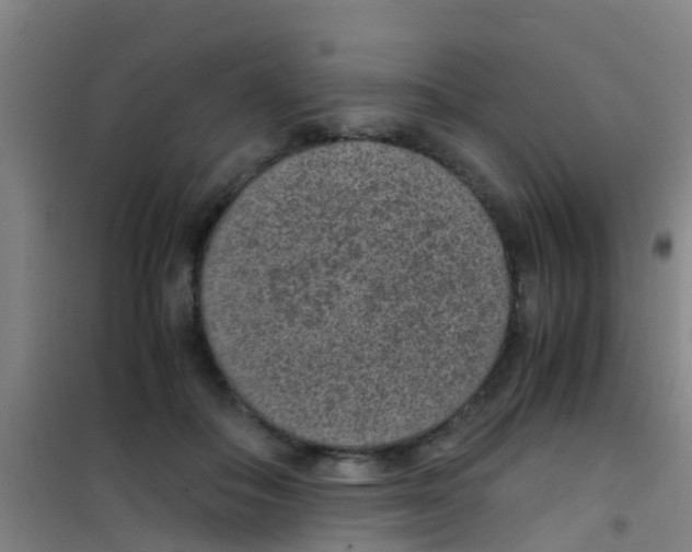 X0000100420506200807032104