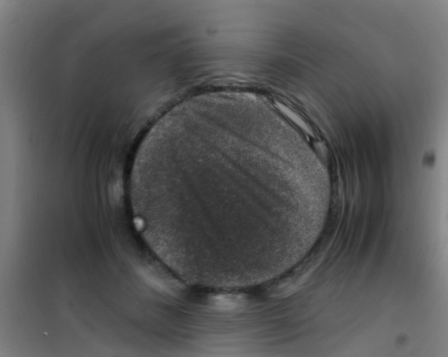 X0000100420508200807032104