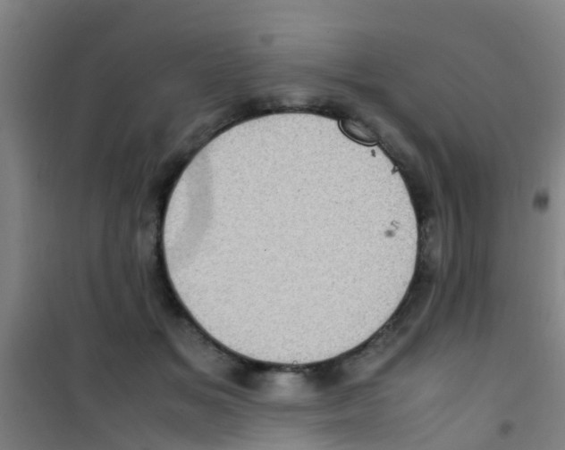 X0000100420509200807032104