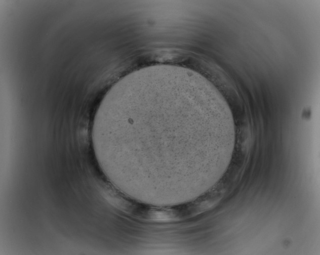 X0000100420510200807032104