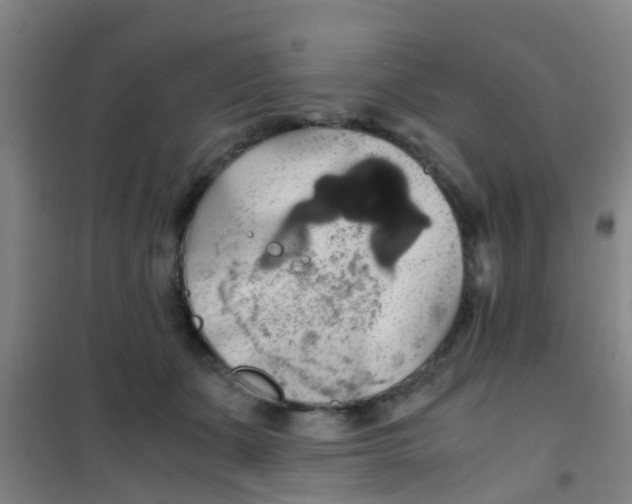 X0000100420511200807032104