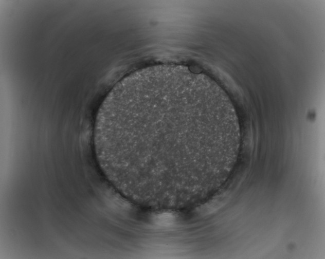 X0000100420513200807032104