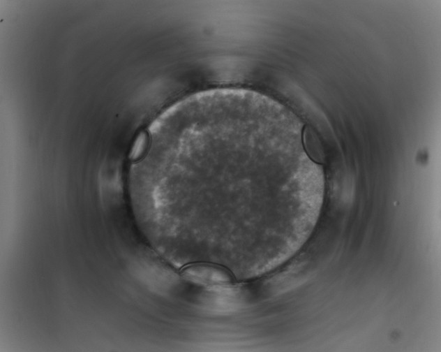 X0000100420516200807032104