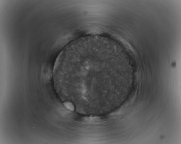 X0000100420517200807032104