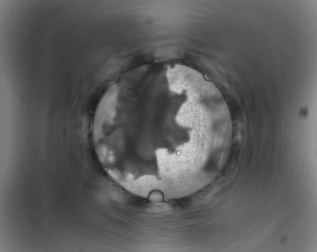 X0000100420519200807032104