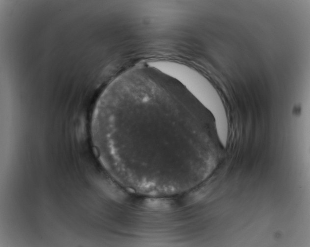 X0000100420520200807032104