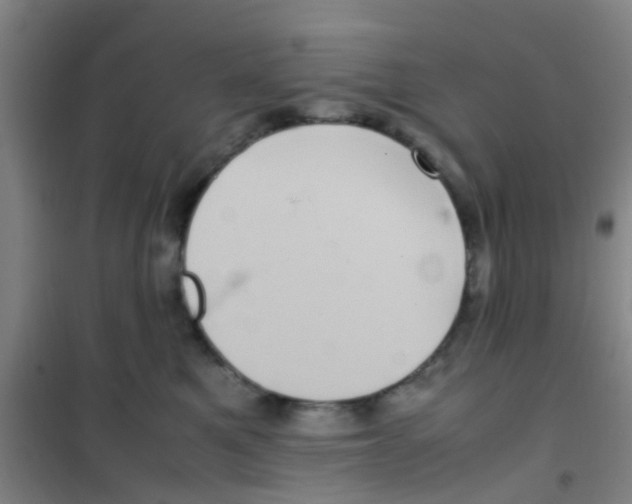 X0000100420521200807032104