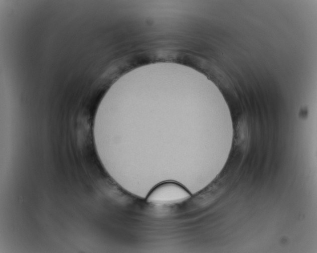 X0000100420522200807032104