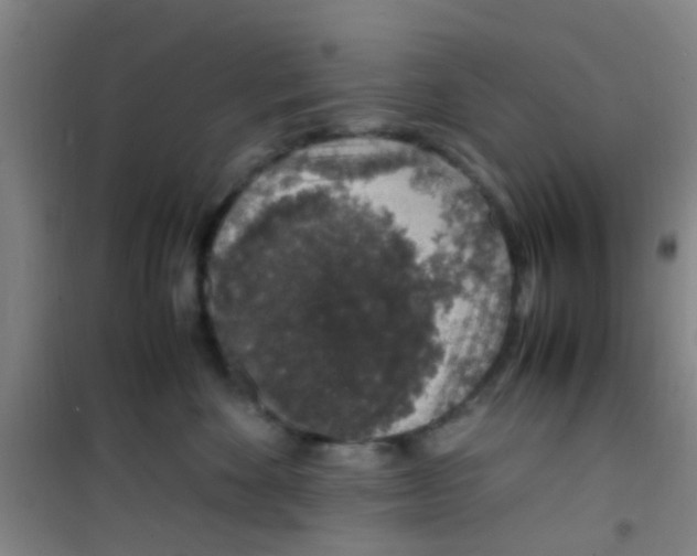 X0000100420524200807032104