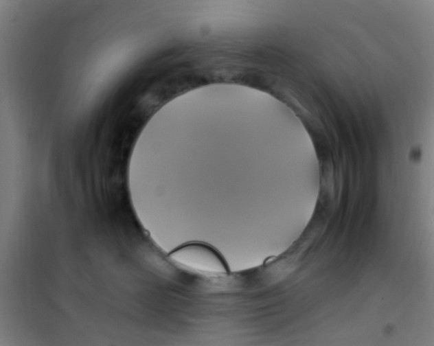 X0000100420526200807032104