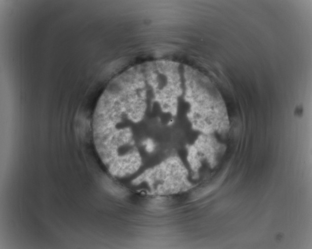 X0000100420527200807032104