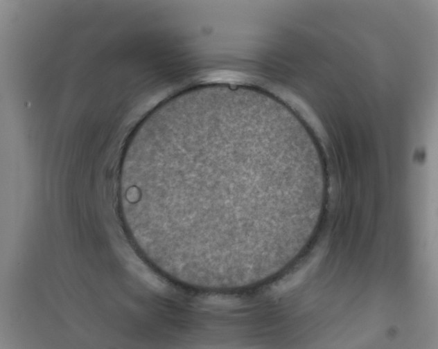 X0000100420529200807032103