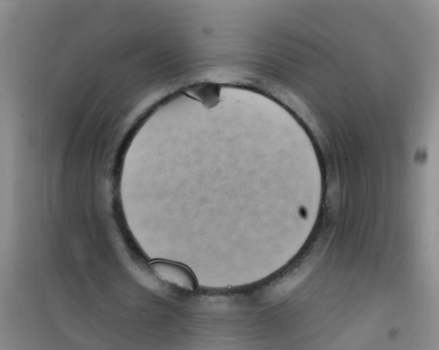 X0000100420530200807032103