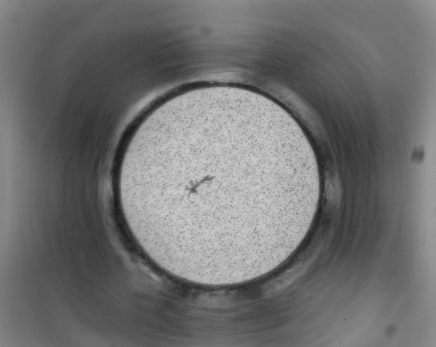 X0000100420532200807032103