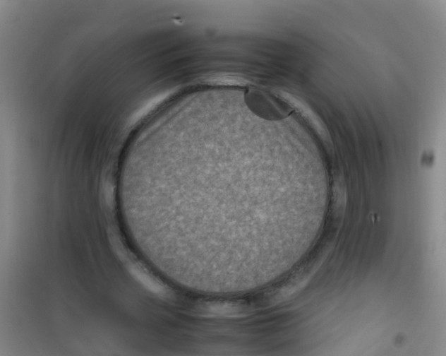 X0000100420533200807032103