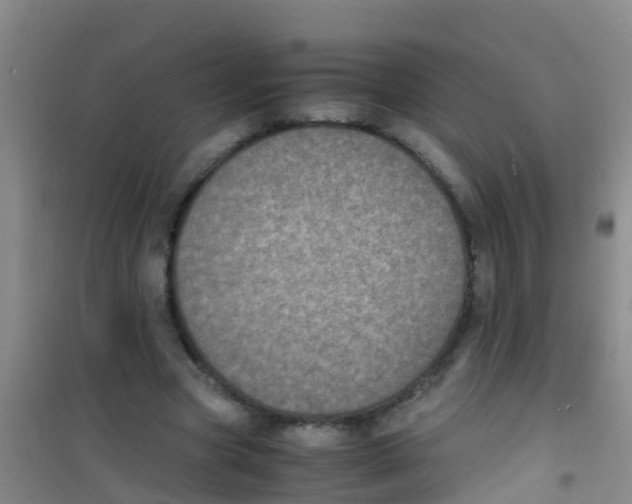 X0000100420537200807032103