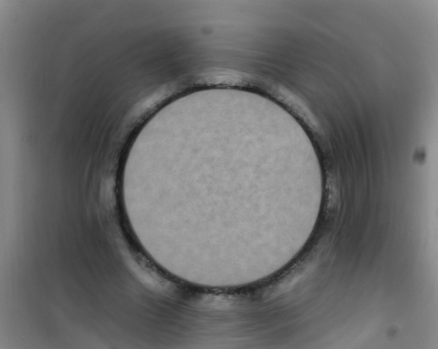 X0000100420538200807032103