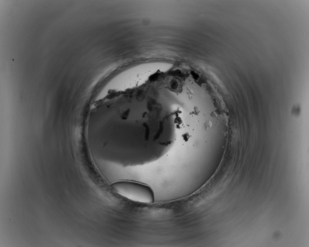 X0000100420539200807032103