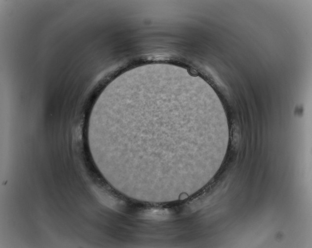 X0000100420543200807032103