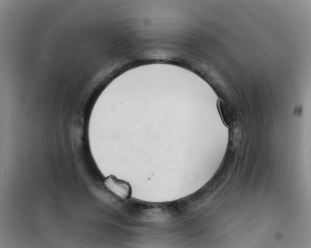 X0000100420544200807032103