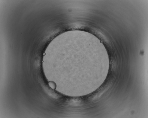 X0000100420546200807032103