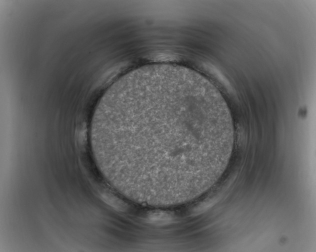 X0000100420549200807032103