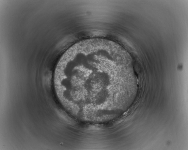 X0000100420550200807032103