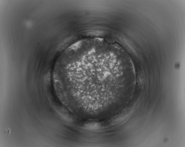 X0000100420551200807032103