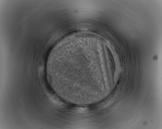 X0000100420552200807032103