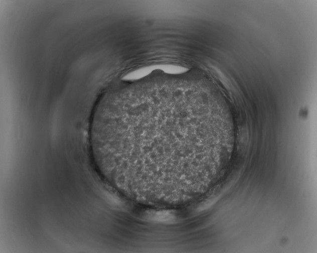 X0000100420553200807032103