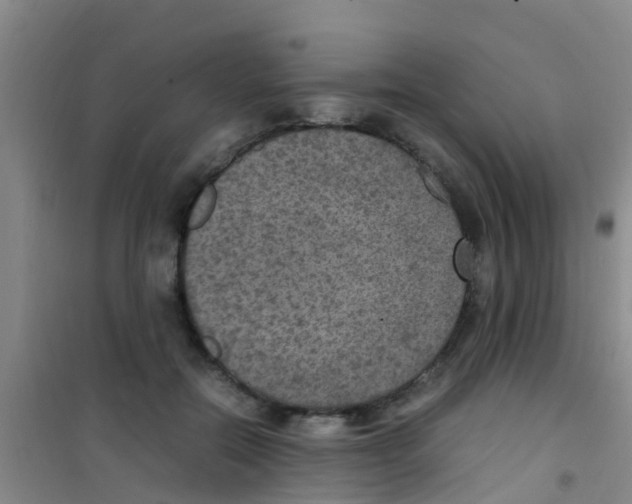 X0000100420554200807032103