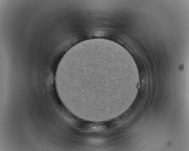 X0000100420555200807032103