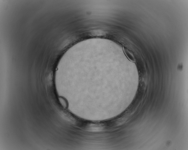 X0000100420556200807032103