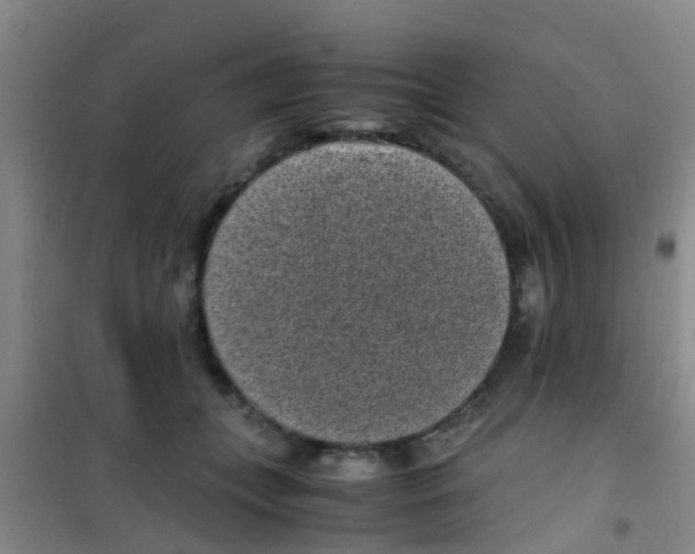 X0000100420559200807032103