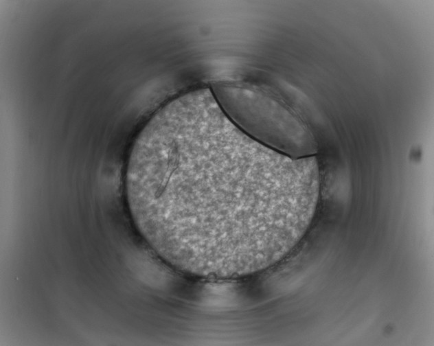 X0000100420560200807032103