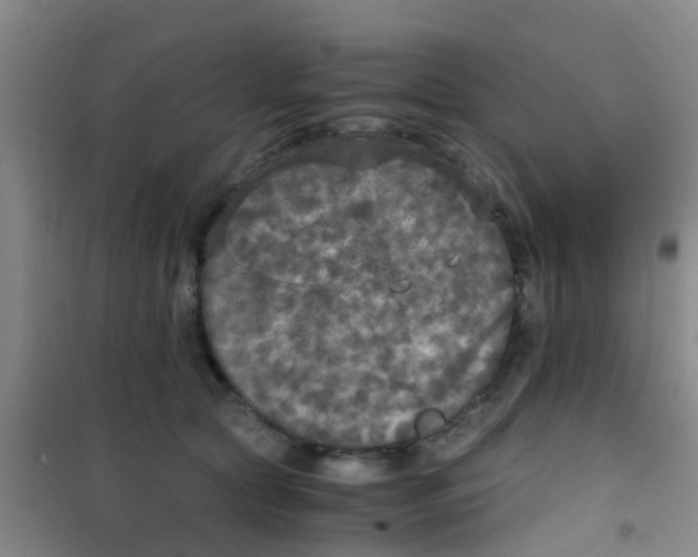 X0000100420561200807032103